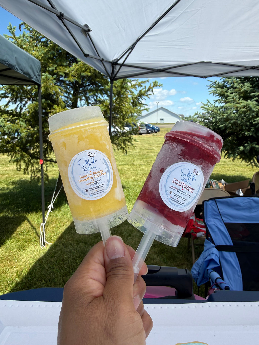 Smoothie Push Pops
