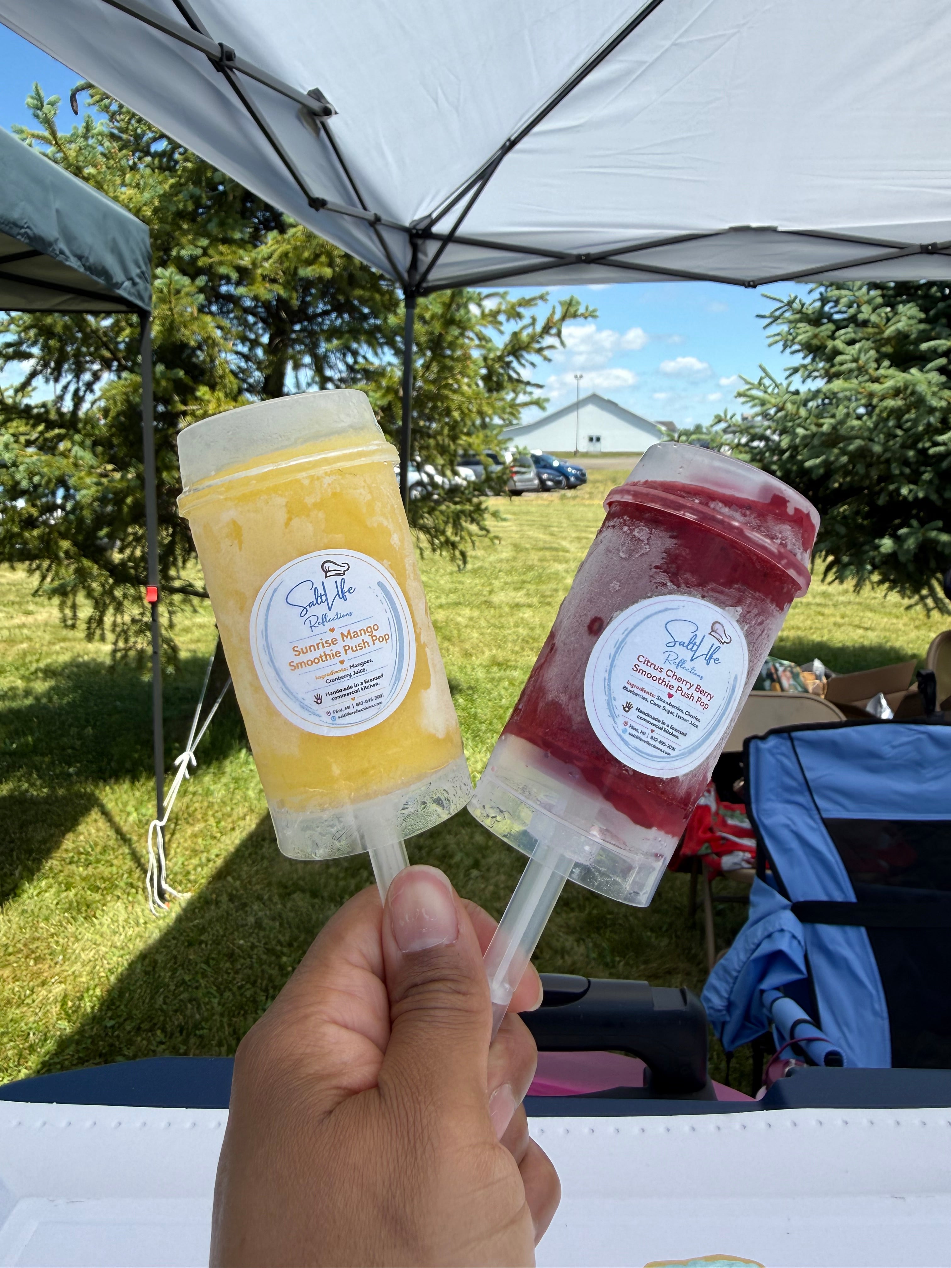 Smoothie Push Pops